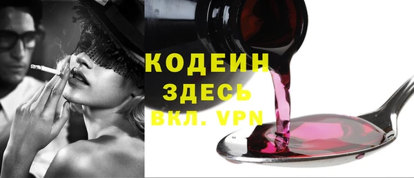 гашик Арсеньев