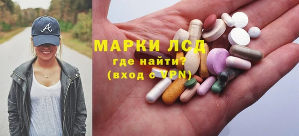 гашик Арсеньев